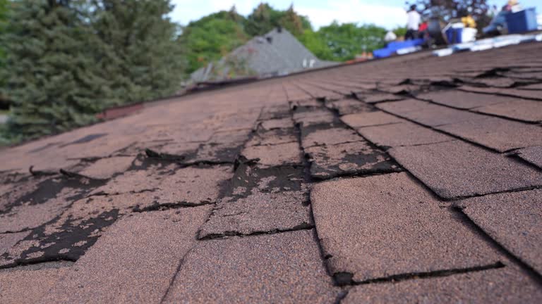 Fast & Reliable Emergency Roof Repairs in Hamilton, OH